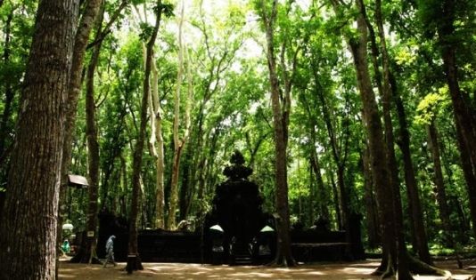 Berani Ngetrip ke Spot Horor di Banyuwangi Ini Nggak?
