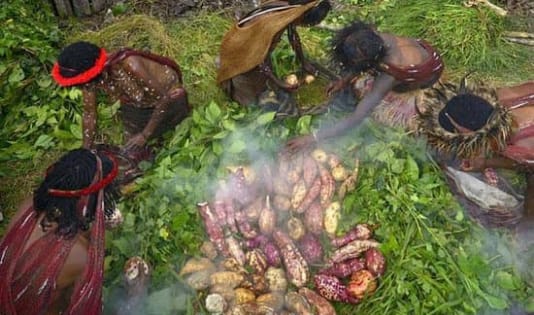 Bakar Batu, upacara adat, ngaben, bakar batu, budaya, dahau, kawanjo, menene, peusijuek, siingaan, tedak siten,
