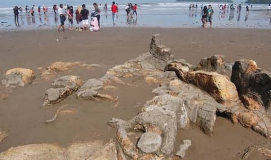 Kawanjo, Local experience, Pigijo, Indonesia, Destinasi wisata, wisata legenda, legenda destinasi wisata, Gunung Tangkuban Perahu, Pantai Air Manis, Danau Toba, Candi Perambanan, Pulau Komodo