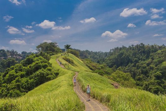 Campuhan Ridge Walk