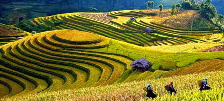 Jatiluwih gambar