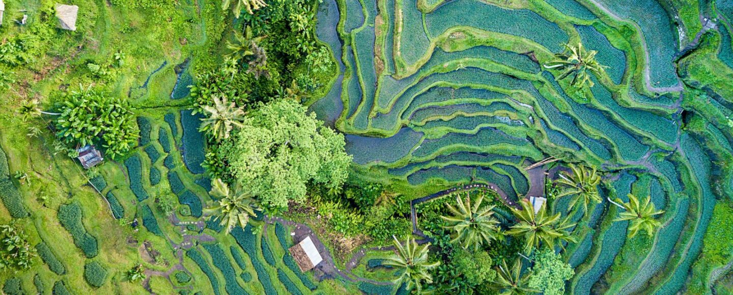 Keren! Tahun Ini Bali Masuk List 30 Warisan Dunia UNESCO Paling Populer di Instagram