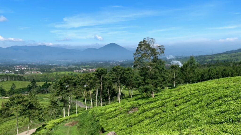Spot ngetrip Pangalengan, Bandung
