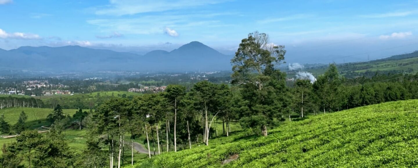 6 Rekomendasi Wisata Saat Ngetrip Ke Pangalengan, Bandung Spot ngetrip Pangalengan, Bandung