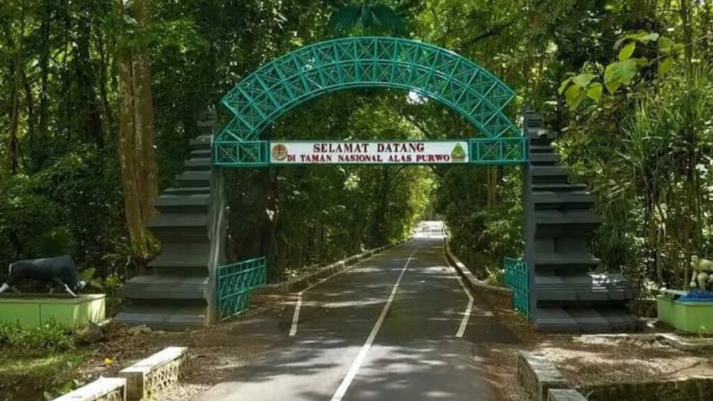 Menjelajah Taman Nasional Alas Purwo