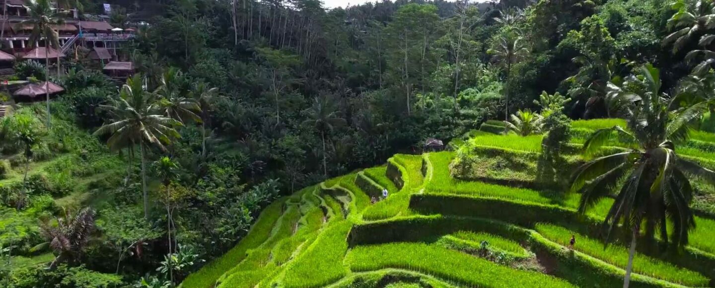 Bali