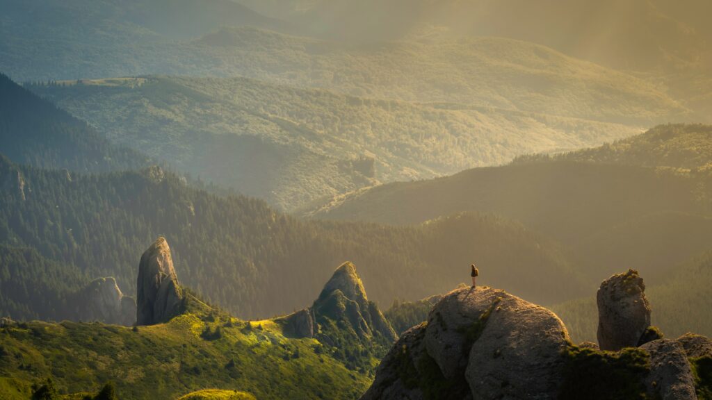 Tips ngetrip ke kawasan Puncak Bogor
