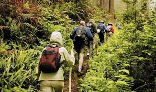 3 Alasan Trekking Bisa Bikin Kawanjo Ketagihan! 3 Trekking, ngetrip, Kawanjo, Indonesia, destinasi wisata, tips and trik trekking, Pigijo, Leuwigoong,