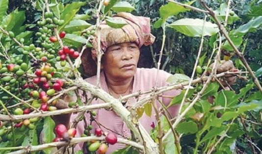 Hobi Ngopi, Nih Trip ke kota penghasil kopi terbaik