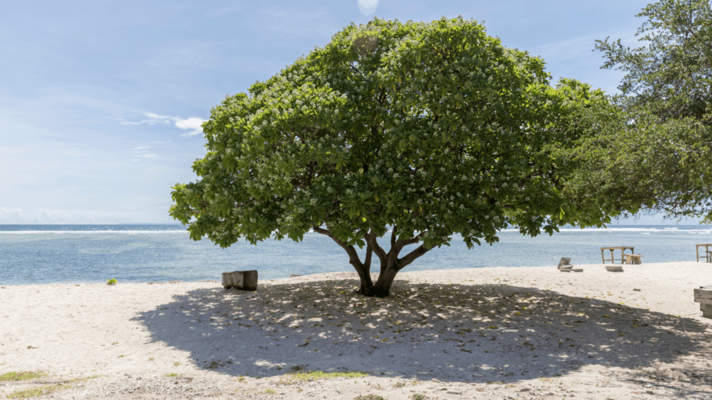 Yuk, Intip Pesona 4 Pulau Incaran Wisman di Lombok!