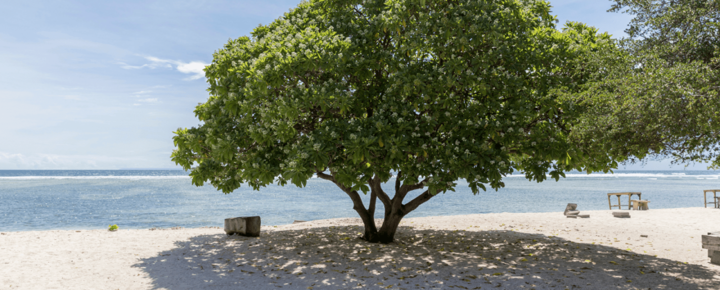 Yuk, Intip Pesona 4 Pulau Incaran Wisman di Lombok!