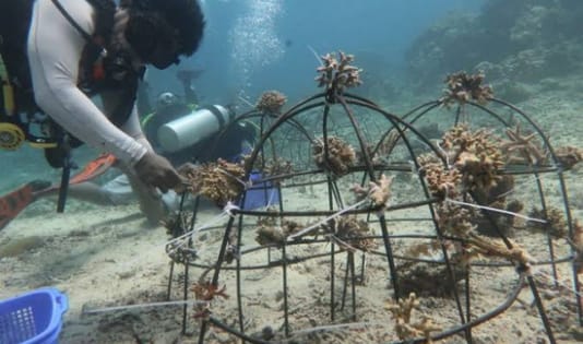 Ekowisata Itu Murah, Padahal? Yuk, Simak Faktanya 3 Local experience, Indonesia, destinasi wisata, Kawanjo, Destinasi Ekowisata, Ekowisata, fakta ekowisata, liburan, ngetrip,
