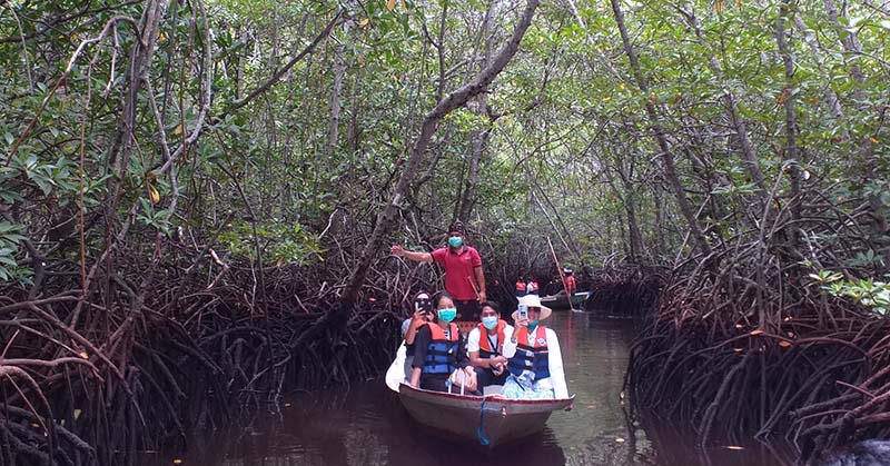 Hutan Mangrove