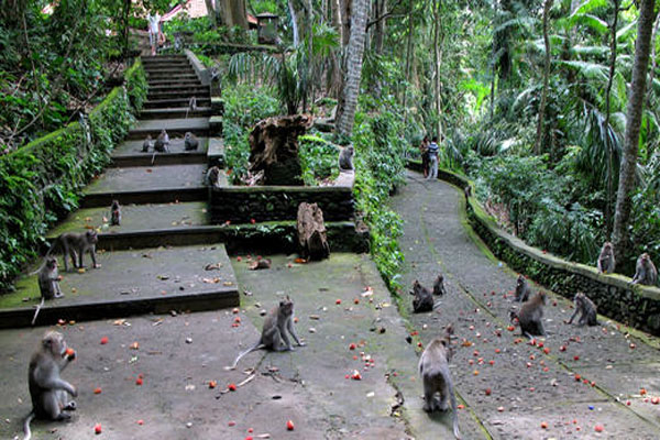 Hutan kera Ubud