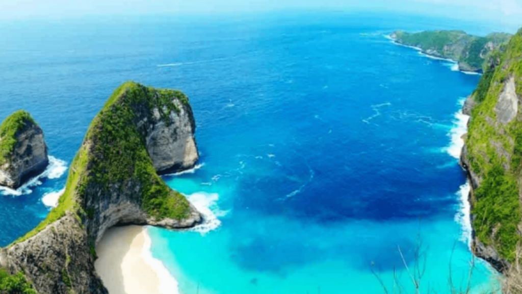 Menjadi Incaran Turis Untuk Wisata Bahari, Ini Dia Keindahan Ekosistem Bawah Laut Nusa Penida