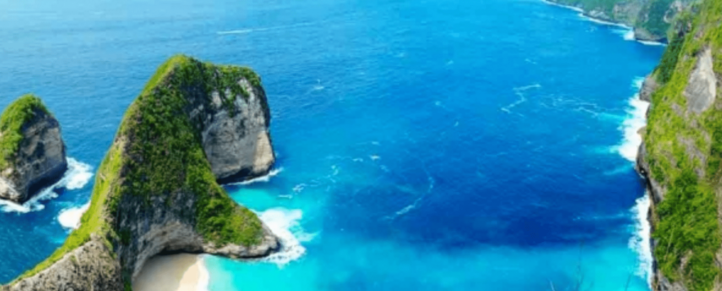 Menjadi Incaran Turis Untuk Wisata Bahari, Ini Dia Keindahan Ekosistem Bawah Laut Nusa Penida