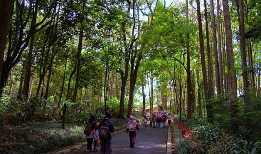 Tahun Baru 2022 Tiba, Yuk Jajal Lima Wisata Malam di Bandung 5 Jajal Lima Wisata Malam di Bandung