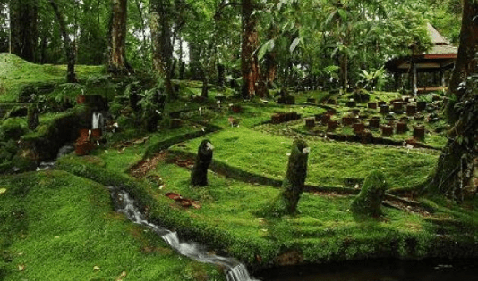 cibodas taman lumut