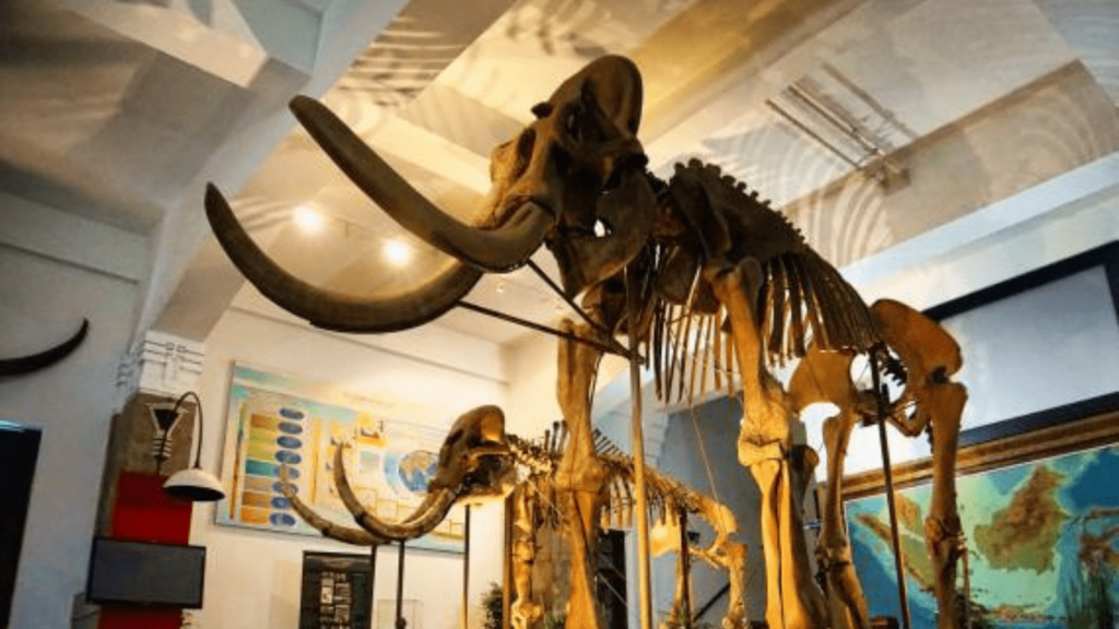 10 Museum Unik di Indonesia, Jadi Alternatif Liburan Seru