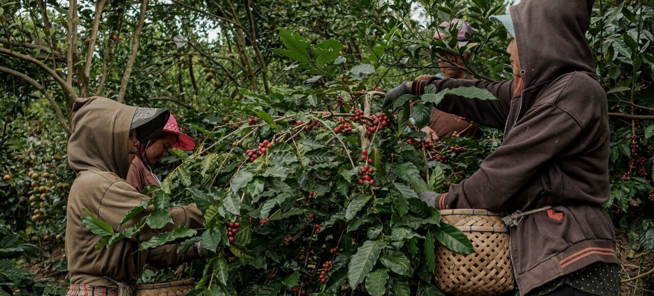 Ngetrip sambil menikmati kopi