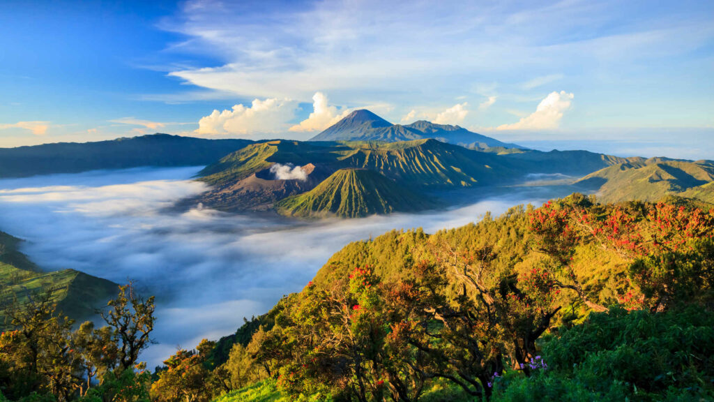 Indonesia