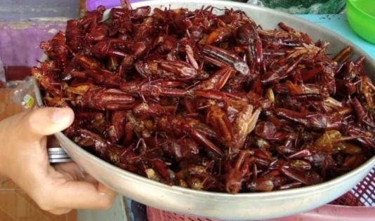 Kuliner Ekstrem Indonesia