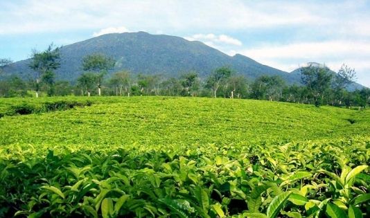 Ngetrip ke Sumedang
