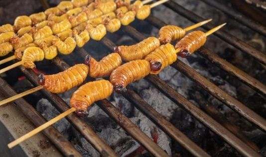 Kuliner ekstrem Indonesia