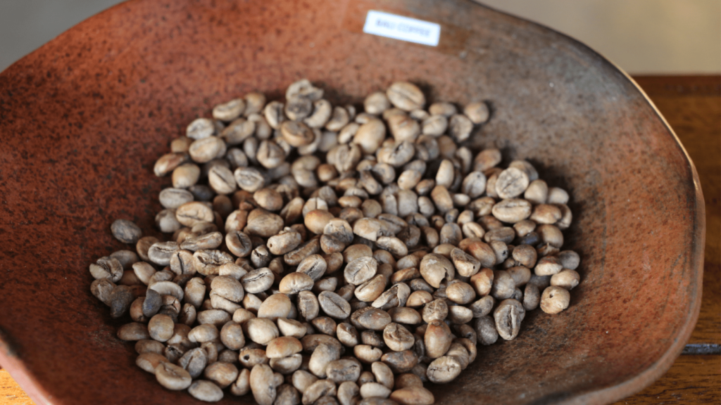 Desa kopi Bali, Serunya Menikmati Kopi dengan Alam Desa kopi Bali, Serunya Menikmati Kopi dengan Alam