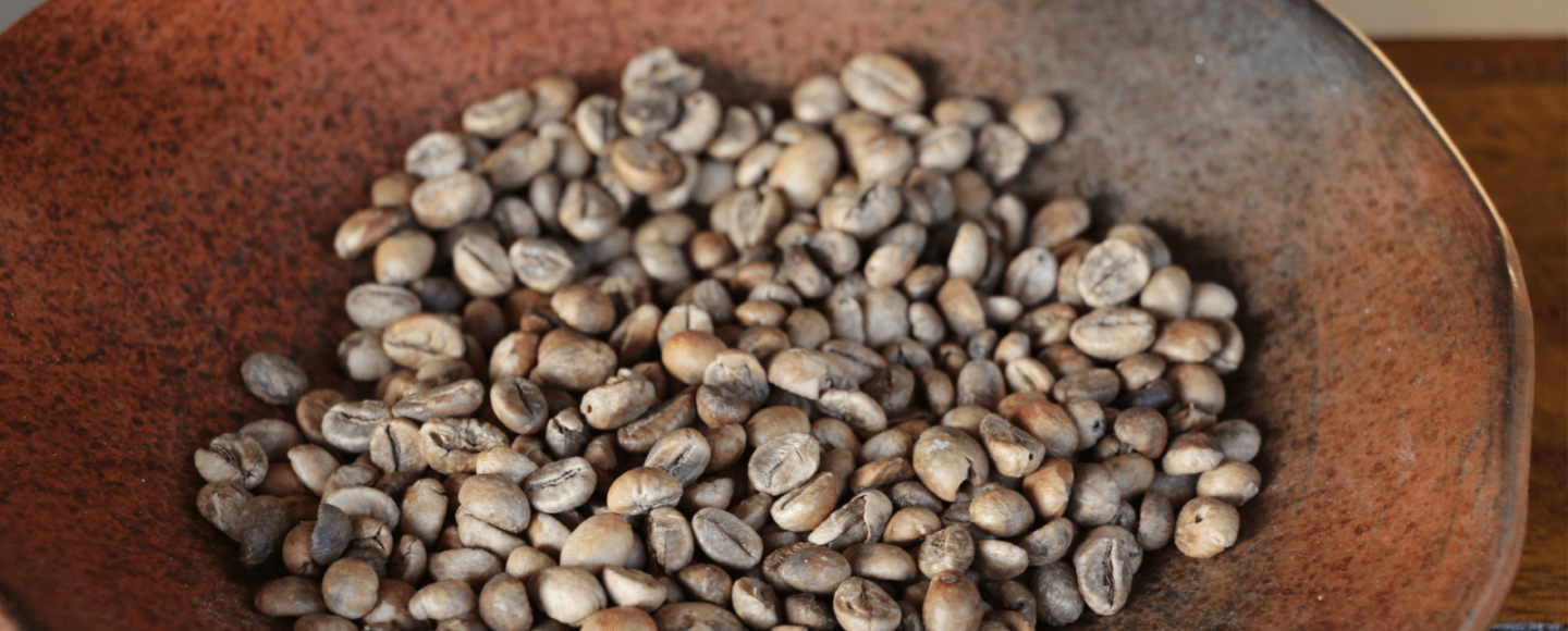 Desa kopi Bali, Serunya Menikmati Kopi dengan Alam Desa kopi Bali, Serunya Menikmati Kopi dengan Alam
