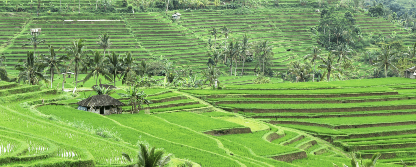 Desa Baru Bali Siap Menyambut Wisatawan