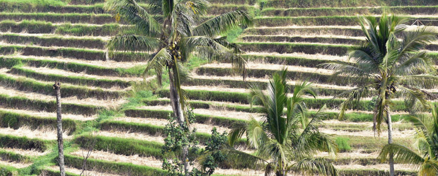 Keren, Desa Wisata Baru, Bali Menuju Desa Ekowisata! Keren, Desa Wisata Baru, Bali Menuju Desa Ekowisata!
