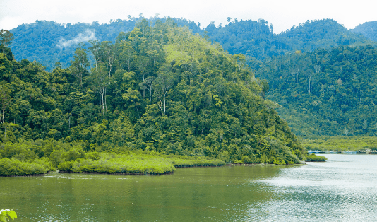Pulau Mandeh, sumatera barat, padang, wisata padang, kawasan mandeh, 