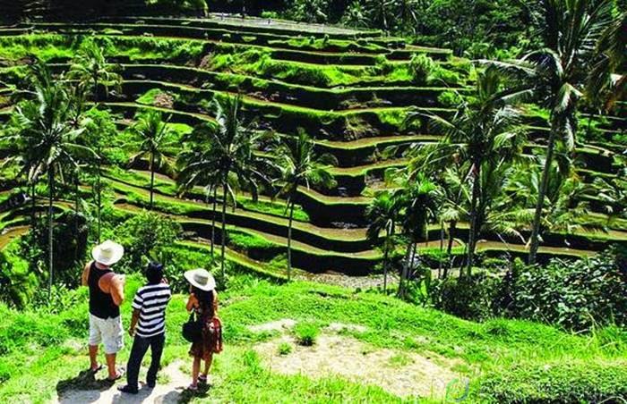 Desa Wisata Ngaglingo