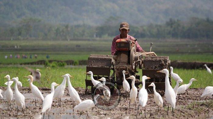 Desa wisata ketingan