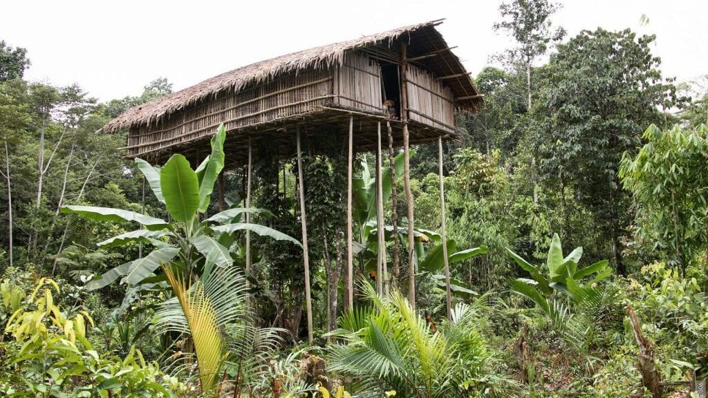 Ngetrip Bak di Film Dokumenter Ketemu Suku Korowai di Papua