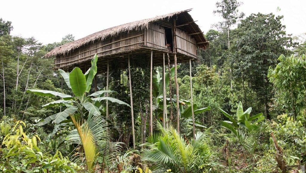 Ngetrip Bak di Film Dokumenter Ketemu Suku Korowai di Papua