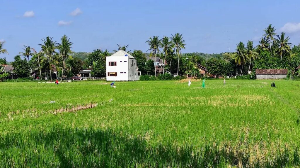5 Desa Wisata Keren di Yogyakarta yang Wajib Dikunjungi