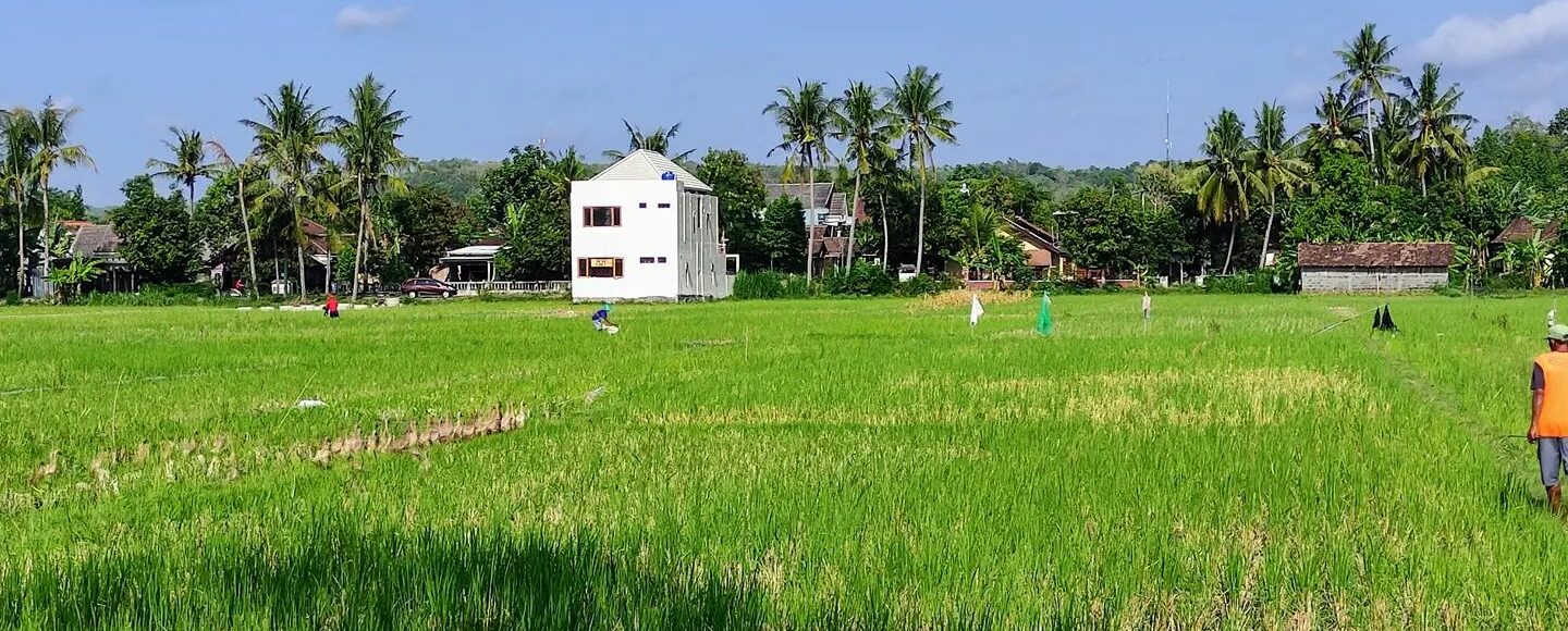 5 Desa Wisata Keren di Yogyakarta yang Wajib Dikunjungi