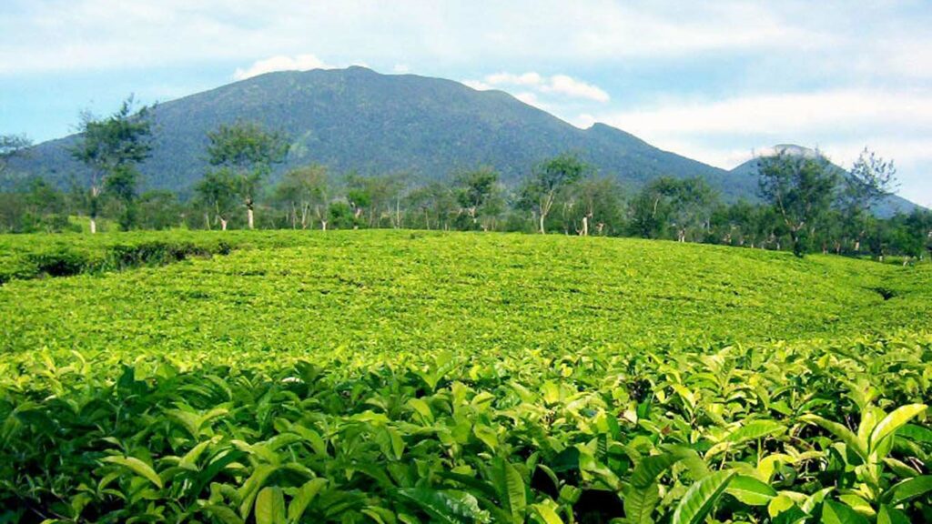 Cus Ngetrip ke Sumedang, Cek Destinasi Wisata Favoritnya Cus ngetrip ke Sumedang