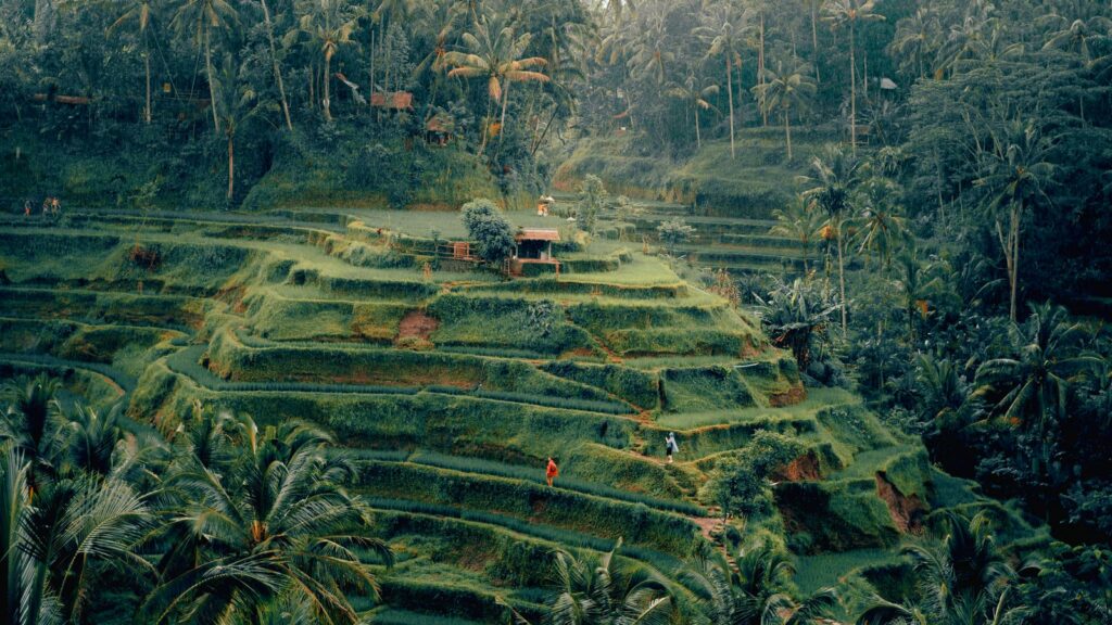 Ubud Bali