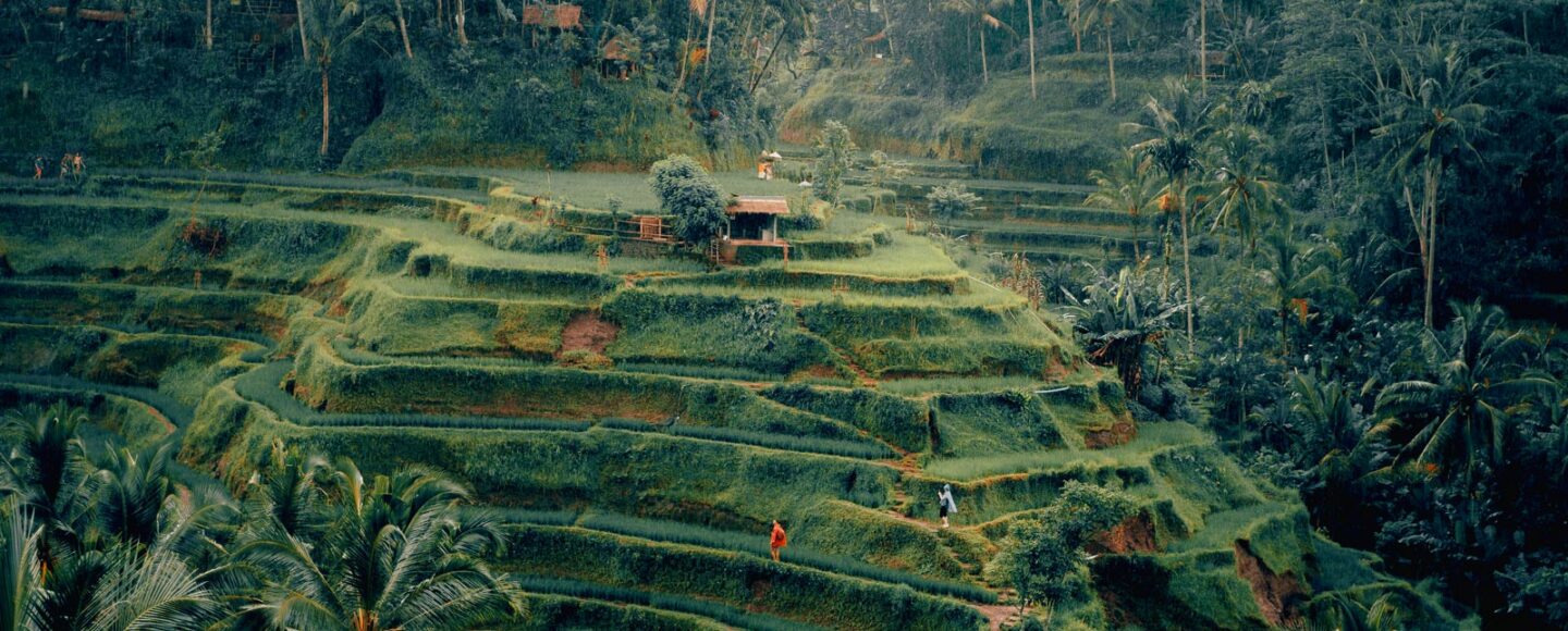 Ubud Bali