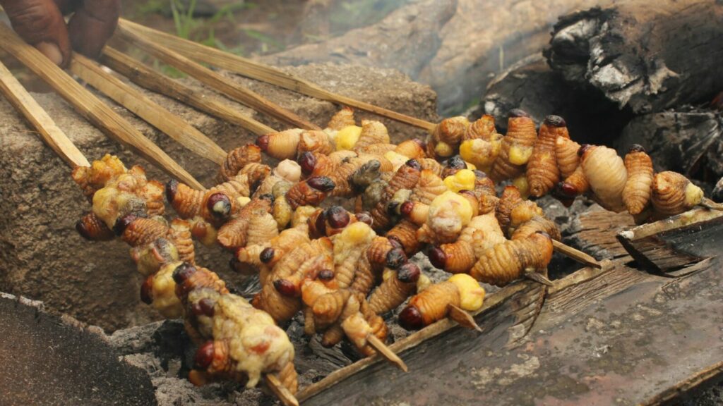 Kuliner Ekstrem Ini Ada di Indonesia Loh! Berani Coba?