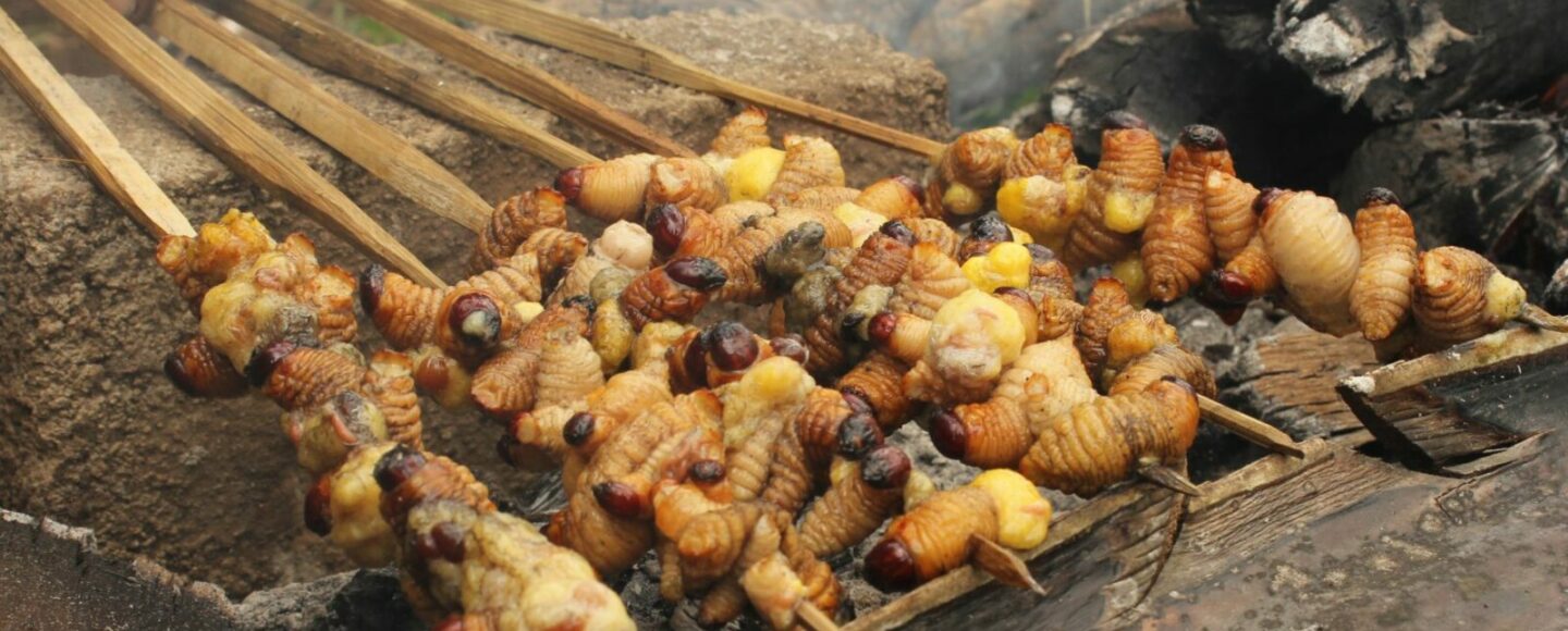 Kuliner Ekstrem Ini Ada di Indonesia Loh! Berani Coba?