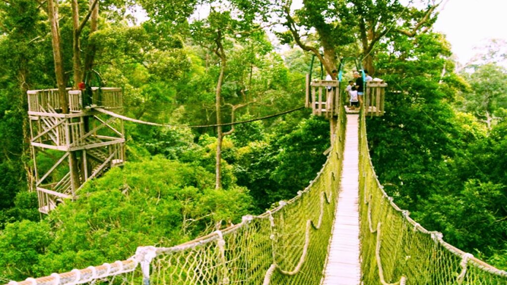 Destinasi Wisata di Ibukota Baru