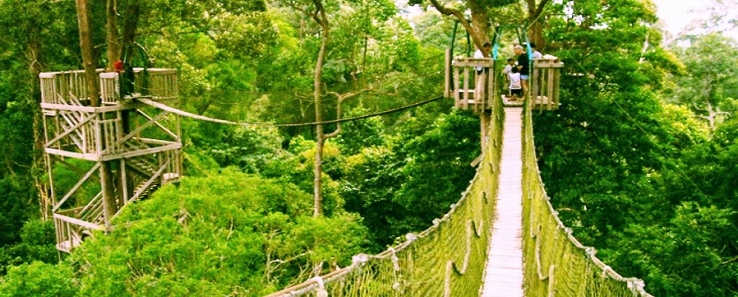 Destinasi Wisata di Ibukota Baru