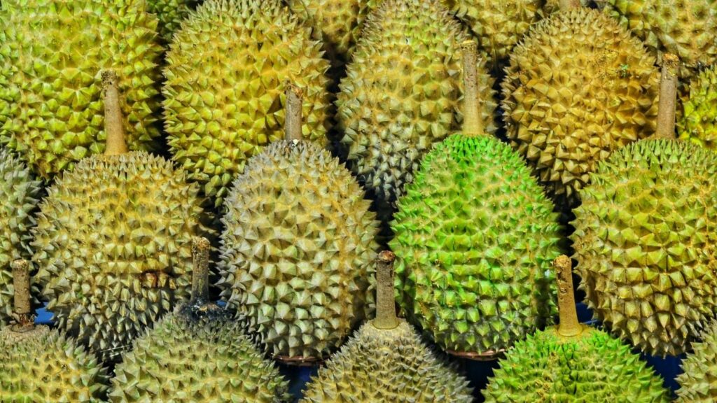 Trip ke Jambi, Wajib Coba Salah Satu dari 11 Kuliner ini. Nomor 9 Legendaris Banget!
