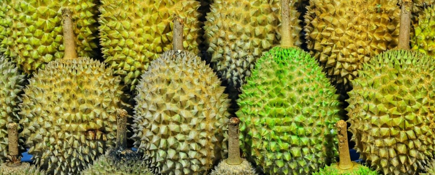 Trip ke Jambi, Wajib Coba Salah Satu dari 11 Kuliner ini. Nomor 9 Legendaris Banget!