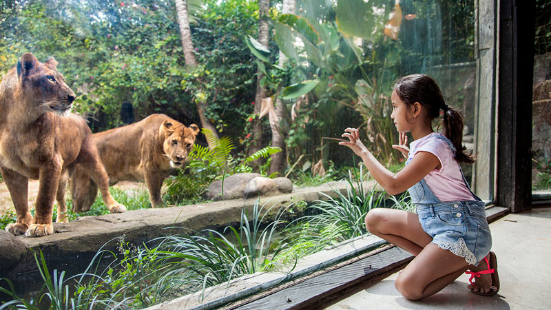 Bali Zoo