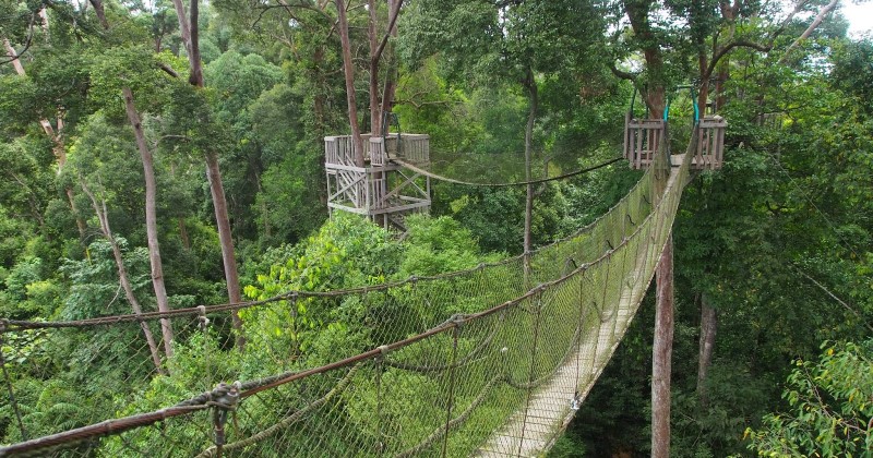 Bukit Bangkarai